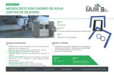 Water Jet Micro-cutting for Silicone Gaskets